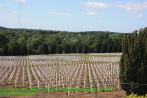 Gravpladsen ved L´Osusuaire de Douaumont - også kaldet Benhuset ved Verdun. Fotograferet sommeren 2013.